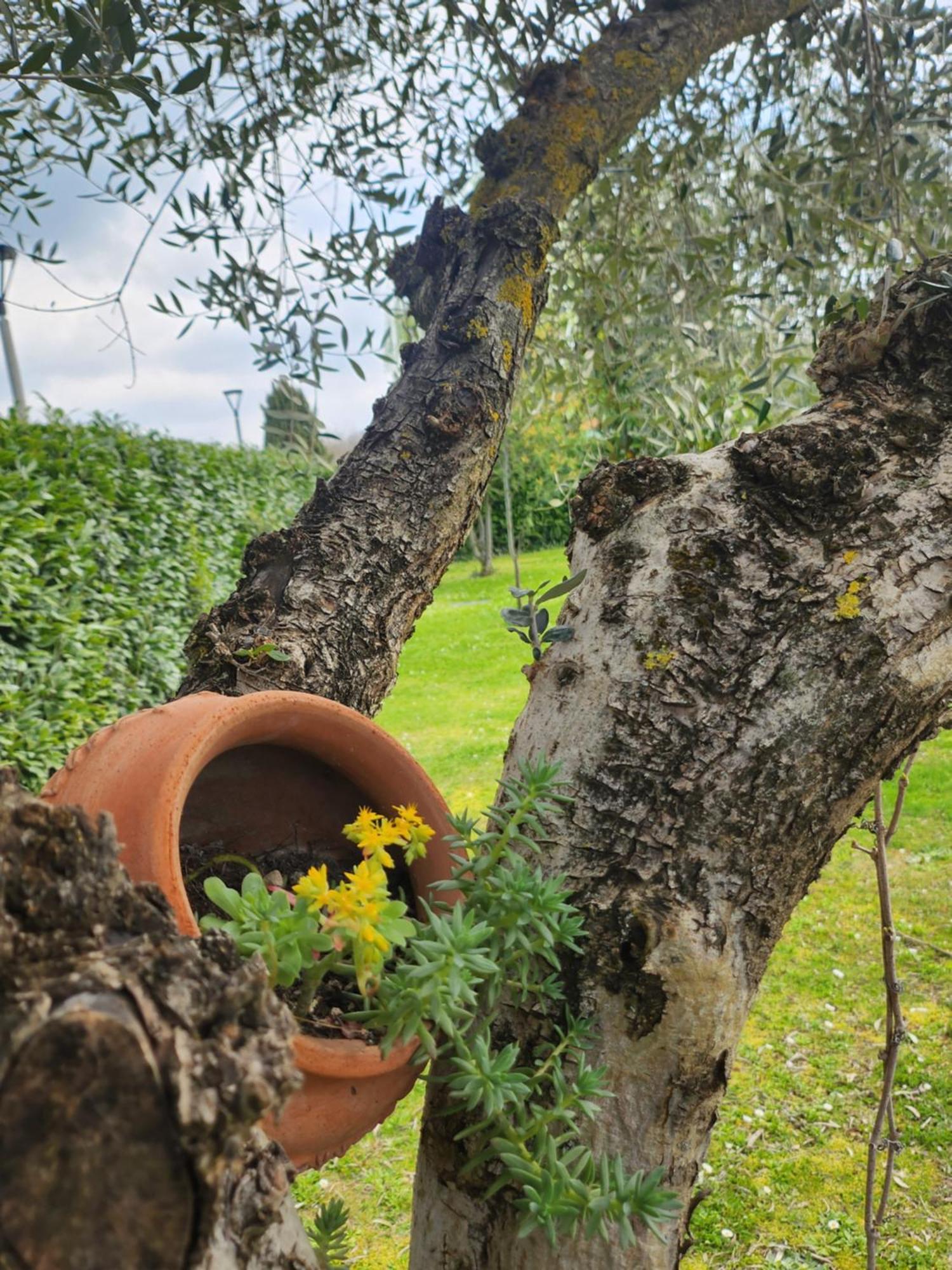 B&B Villa Sabrina Arezzo Exteriér fotografie