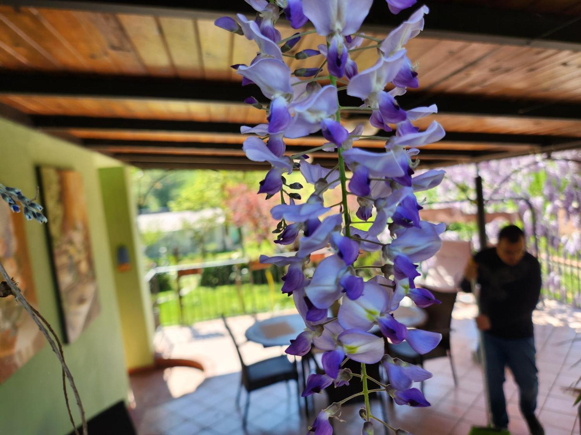 B&B Villa Sabrina Arezzo Exteriér fotografie